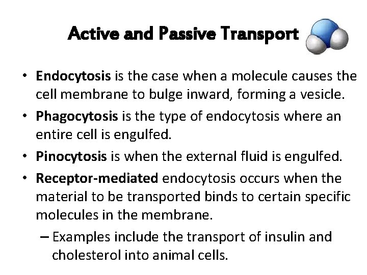 Active and Passive Transport • Endocytosis is the case when a molecule causes the