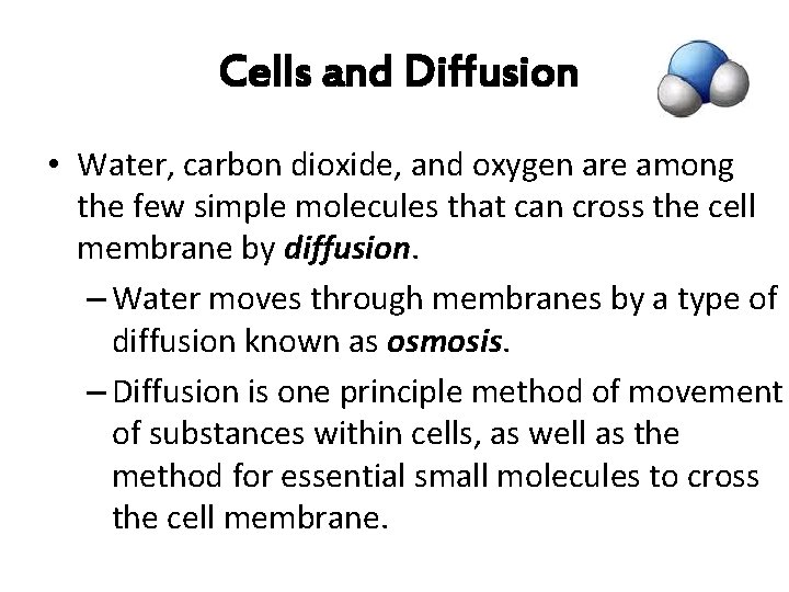  Cells and Diffusion • Water, carbon dioxide, and oxygen are among the few