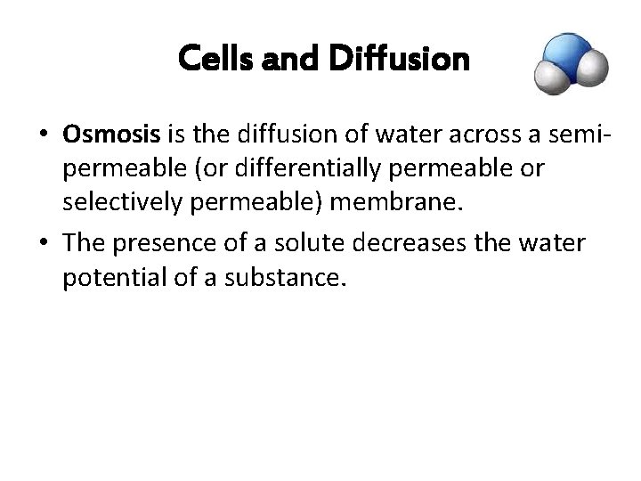  Cells and Diffusion • Osmosis is the diffusion of water across a semipermeable