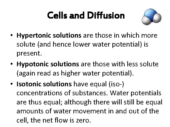  Cells and Diffusion • Hypertonic solutions are those in which more solute (and