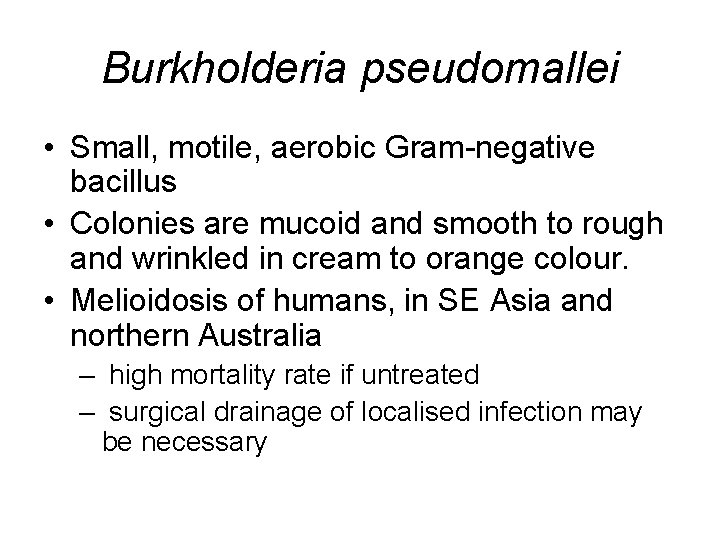 Burkholderia pseudomallei • Small, motile, aerobic Gram-negative bacillus • Colonies are mucoid and smooth