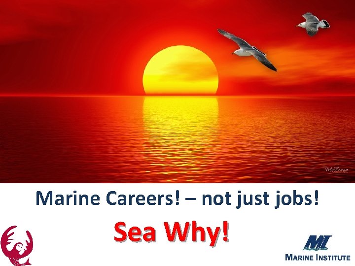 Marine Careers! – not just jobs! Sea Why! 