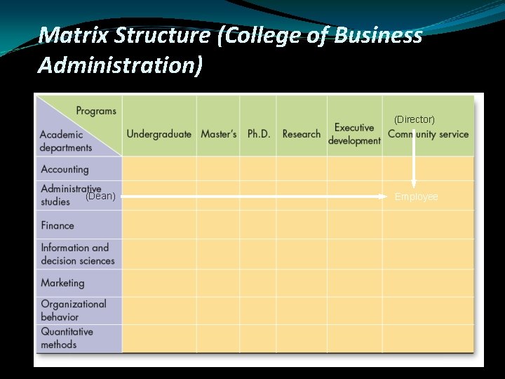 Matrix Structure (College of Business Administration) (Director) (Dean) Employee 