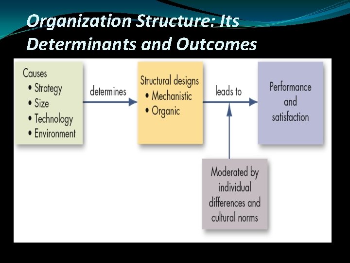 Organization Structure: Its Determinants and Outcomes 