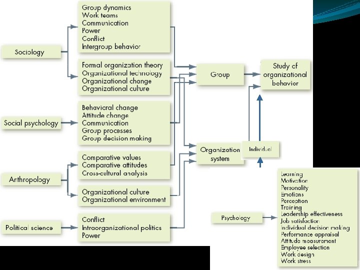 Bases of OB 