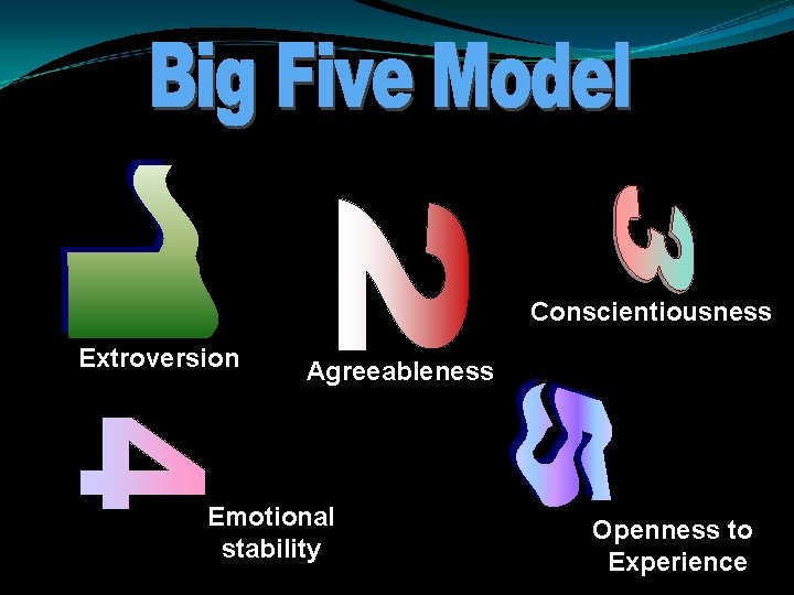 Conscientiousness Extroversion Agreeableness Emotional stability Openness to Experience 