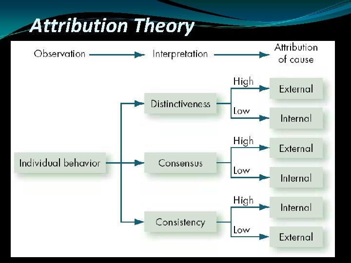 Attribution Theory 