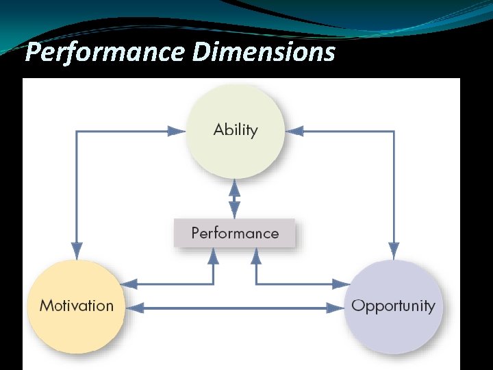 Performance Dimensions 