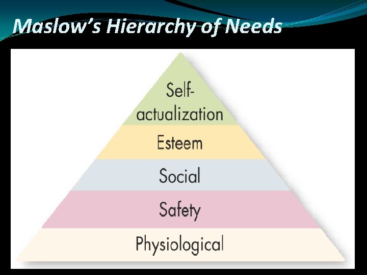 Maslow’s Hierarchy of Needs 