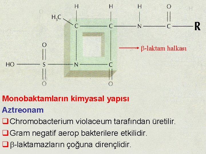 b-laktam halkası Monobaktamların kimyasal yapısı Aztreonam q Chromobacterium violaceum tarafından üretilir. q Gram negatif