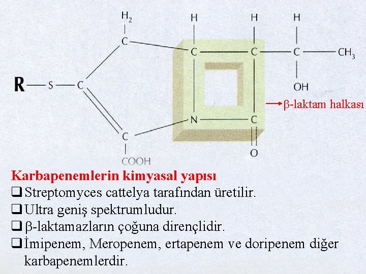 b-laktam halkası Karbapenemlerin kimyasal yapısı q Streptomyces cattelya tarafından üretilir. q Ultra geniş spektrumludur.