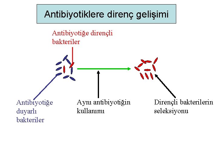 Antibiyotiklere direnç gelişimi Antibiyotiğe dirençli bakteriler Antibiyotiğe duyarlı bakteriler Aynı antibiyotiğin kullanımı Dirençli bakterilerin