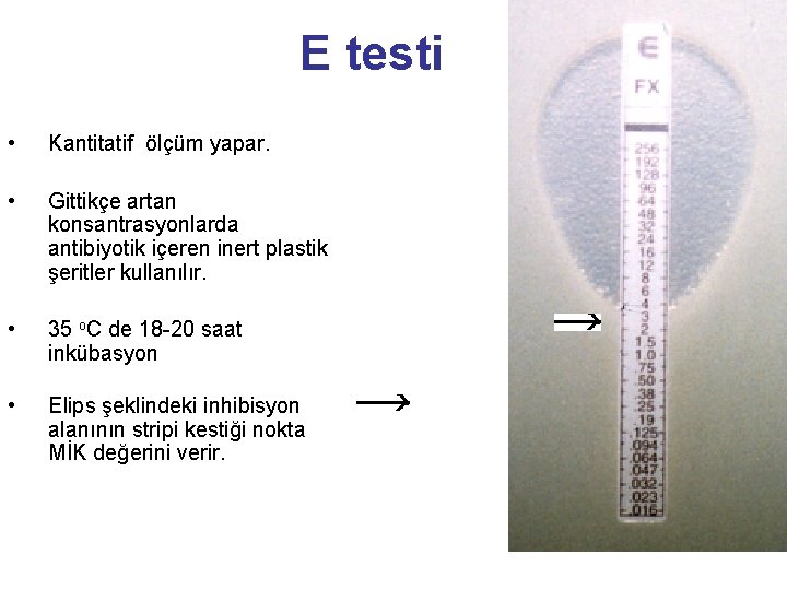 E testi • Kantitatif ölçüm yapar. • Gittikçe artan konsantrasyonlarda antibiyotik içeren inert plastik