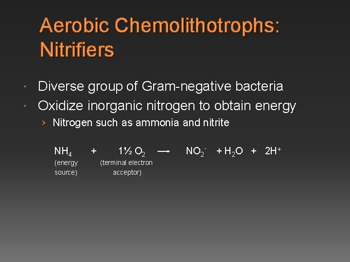 Aerobic Chemolithotrophs: Nitrifiers Diverse group of Gram-negative bacteria Oxidize inorganic nitrogen to obtain energy