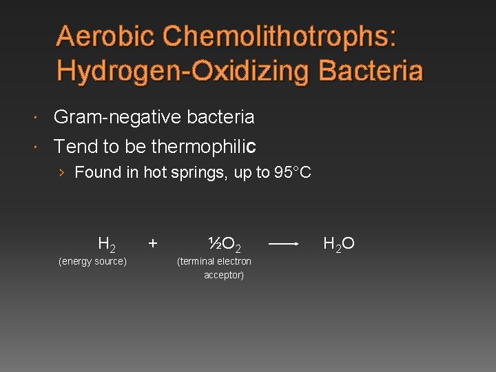 Aerobic Chemolithotrophs: Hydrogen-Oxidizing Bacteria Gram-negative bacteria Tend to be thermophilic › Found in hot