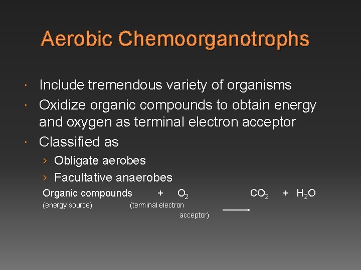 Aerobic Chemoorganotrophs Include tremendous variety of organisms Oxidize organic compounds to obtain energy and