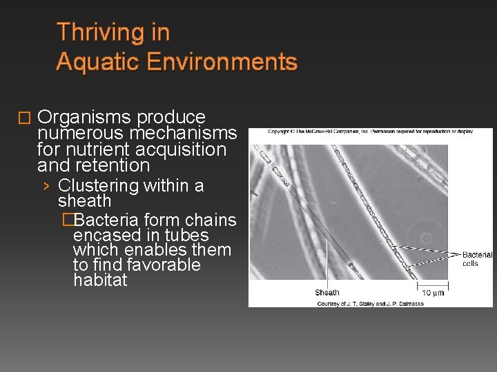 Thriving in Aquatic Environments � Organisms produce numerous mechanisms for nutrient acquisition and retention