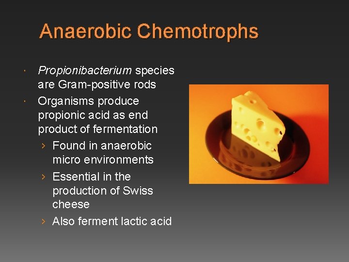 Anaerobic Chemotrophs Propionibacterium species are Gram-positive rods Organisms produce propionic acid as end product