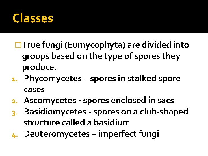 Classes �True fungi (Eumycophyta) are divided into 1. 2. 3. 4. groups based on