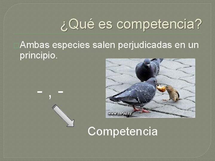 ¿Qué es competencia? �Ambas especies salen perjudicadas en un principio. - , - Competencia