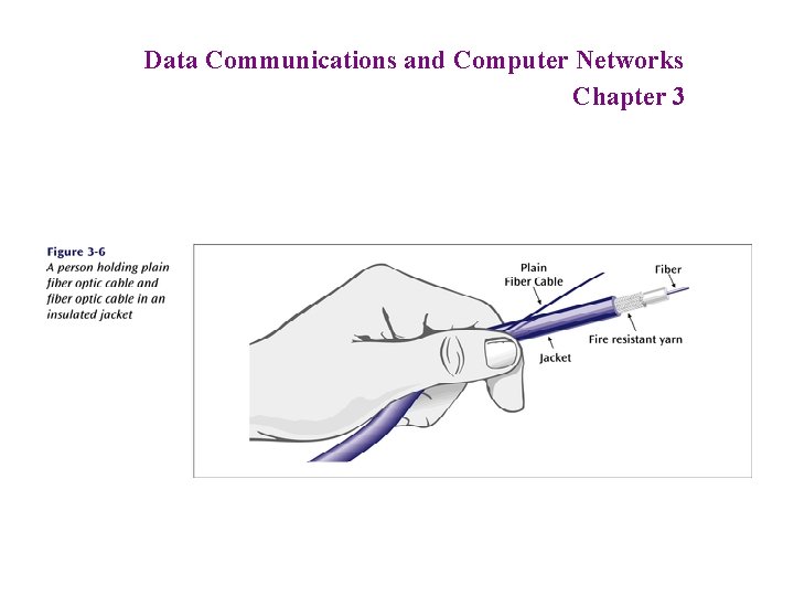 Data Communications and Computer Networks Chapter 3 