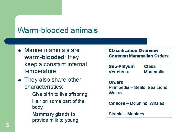 Warm-blooded animals l l Marine mammals are warm-blooded: they keep a constant internal temperature