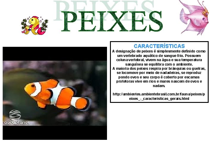 CARACTERÍSTICAS A designação de peixes é simplesmente definido como um vertebrado aquático de sangue