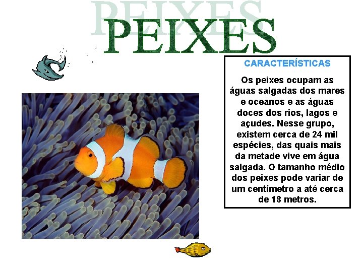 CARACTERÍSTICAS Os peixes ocupam as águas salgadas dos mares e oceanos e as águas