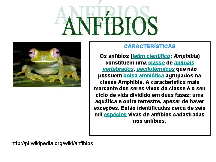 CARACTERÍSTICAS Os anfíbios (latim científico: Amphibia) constituem uma classe de animais vertebrados, pecilotérmicos que