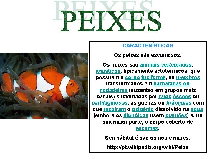 CARACTERÍSTICAS Os peixes são escamosos. Os peixes são animais vertebrados, aquáticos, tipicamente ectotérmicos, que