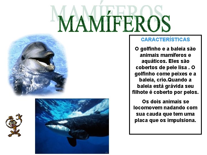 CARACTERÍSTICAS O golfinho e a baleia são animais mamíferos e aquáticos. Eles são cobertos