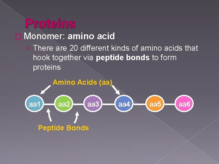 Proteins � Monomer: amino acid › There are 20 different kinds of amino acids