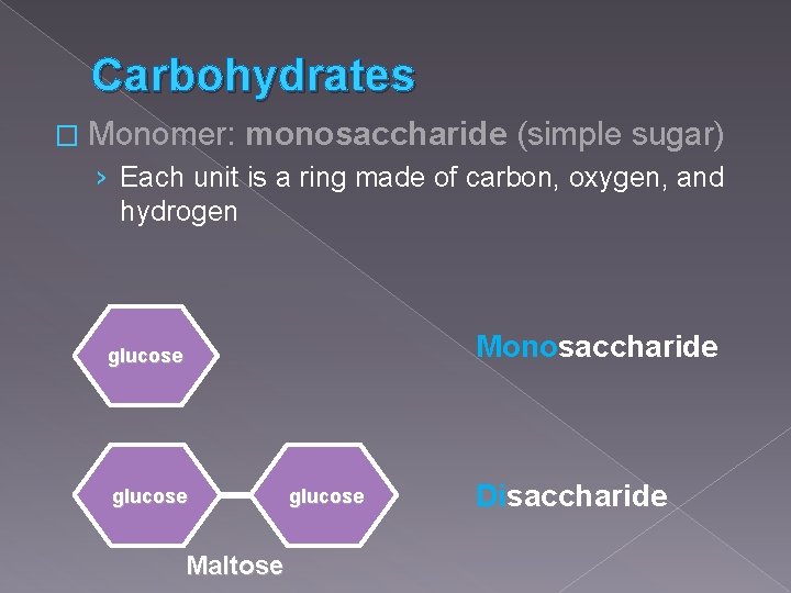 Carbohydrates � Monomer: monosaccharide (simple sugar) › Each unit is a ring made of