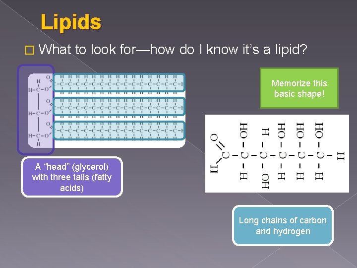 Lipids � What to look for—how do I know it’s a lipid? Memorize this