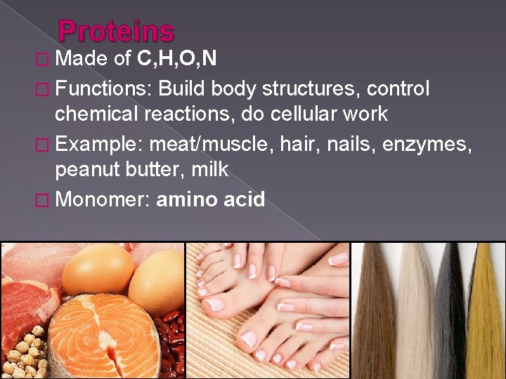 Proteins � Made of C, H, O, N � Functions: Build body structures, control