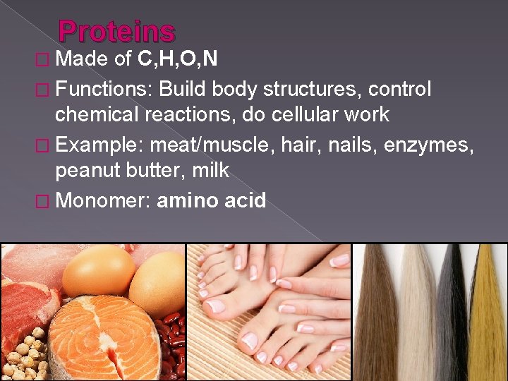 Proteins � Made of C, H, O, N � Functions: Build body structures, control Proteins � Made of C, H, O, N � Functions: Build body structures, control