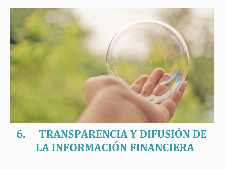 6. TRANSPARENCIA Y DIFUSIÓN DE LA INFORMACIÓN FINANCIERA 