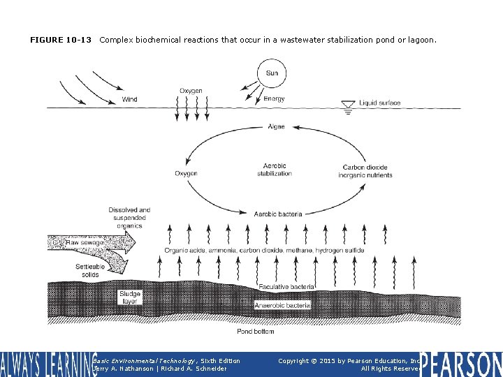 FIGURE 10 -13 Complex biochemical reactions that occur in a wastewater stabilization pond or