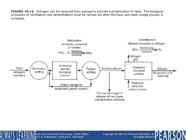 FIGURE 10 -16 Nitrogen can be removed from sewage to prevent eutrophication of lakes.