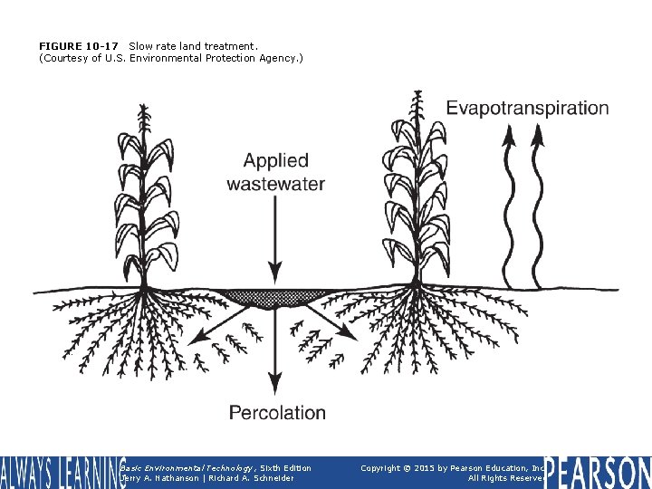 FIGURE 10 -17 Slow rate land treatment. (Courtesy of U. S. Environmental Protection Agency.