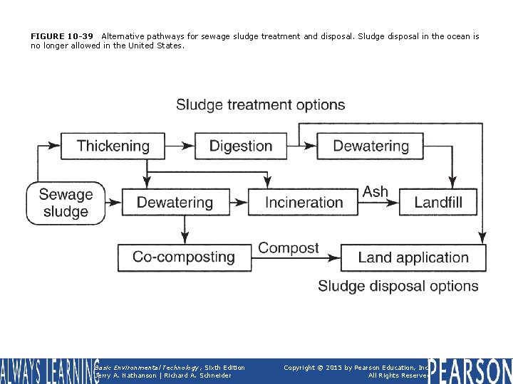 FIGURE 10 -39 Alternative pathways for sewage sludge treatment and disposal. Sludge disposal in