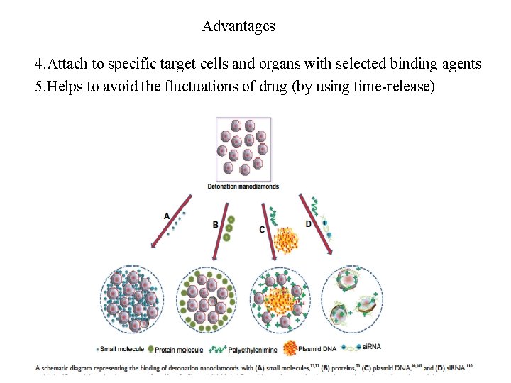 Advantages 4. Attach to specific target cells and organs with selected binding agents 5.