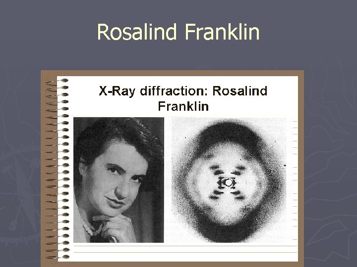 Rosalind Franklin 