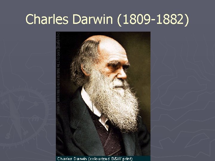 Charles Darwin (1809 -1882) 