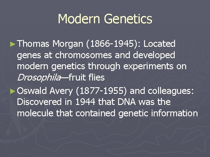 Modern Genetics ► Thomas Morgan (1866 -1945): Located genes at chromosomes and developed modern