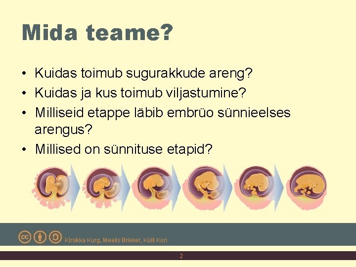 Mida teame? • Kuidas toimub sugurakkude areng? • Kuidas ja kus toimub viljastumine? •