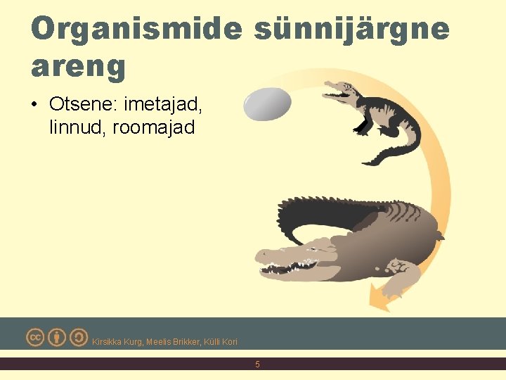 Organismide sünnijärgne areng • Otsene: imetajad, linnud, roomajad Kirsikka Kurg, Meelis Brikker, Külli Kori