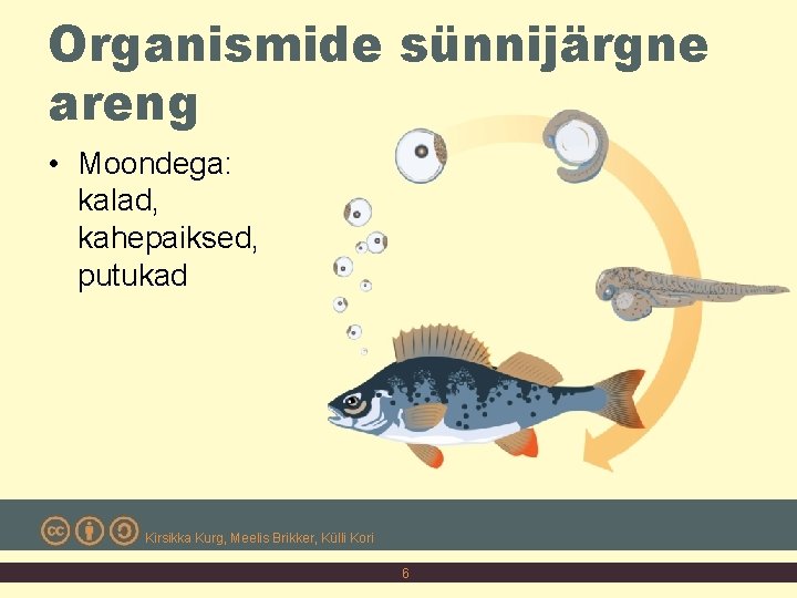 Organismide sünnijärgne areng • Moondega: kalad, kahepaiksed, putukad Kirsikka Kurg, Meelis Brikker, Külli Kori
