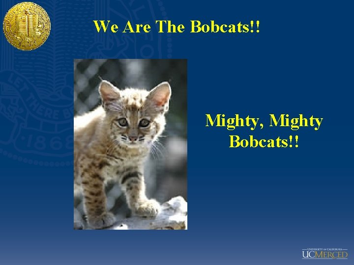 We Are The Bobcats!! Mighty, Mighty Bobcats!! 