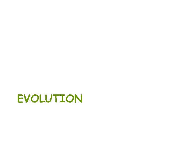 EVOLUTION 